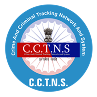 Naino IT Solutions Logo